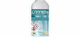 CARAIBI 1LT