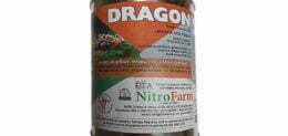 DRAGON SNAKE 800gr