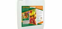 DYNAMINE 10L