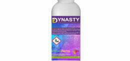 DYNASTY 1LT