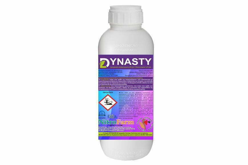 DYNASTY 1LT