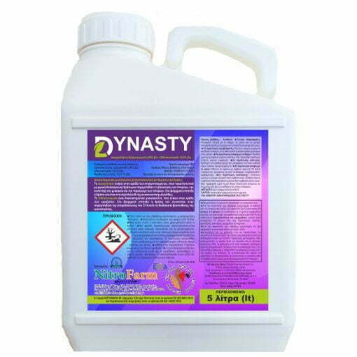 DYNASTY 5LT