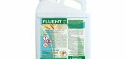 FLUENT 5LT