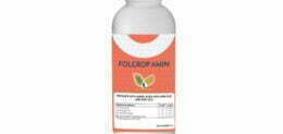 FOLCROP AMIN 1LT