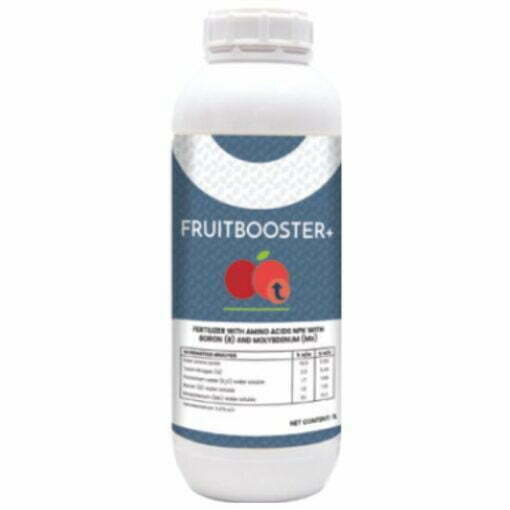 FRUITBOOSTER 1LT