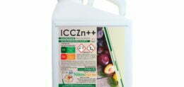 ICCZn 5LT
