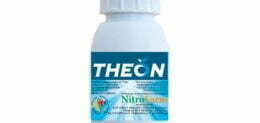 THEON 100cc