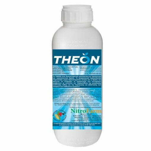 THEON 1LT
