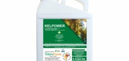 KELPOWER 5LT