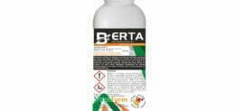 BERTA 1LT
