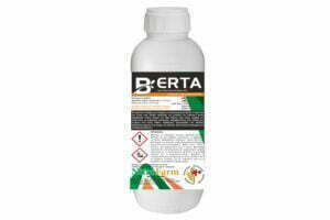 BERTA 500cc