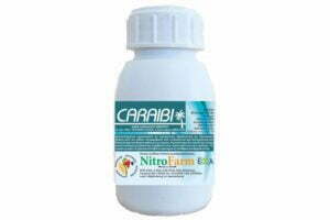 CARAIBI 100cc