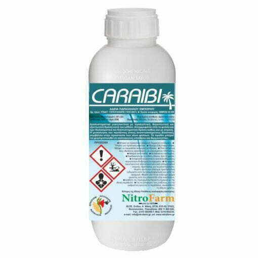 CARAIBI 500cc