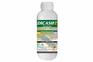 DICASH 300cc