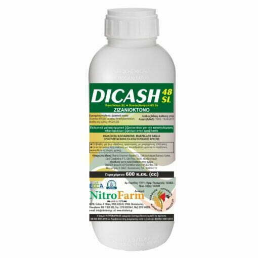 DICASH 600cc