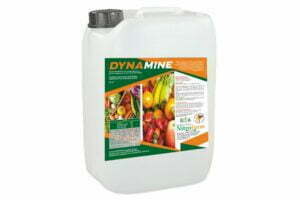 DYNAMINE 10L
