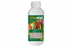 DYNAMINE 250cc