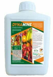 DYNAMINE 2LT