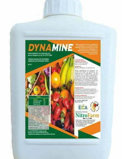 DYNAMINE 2LT