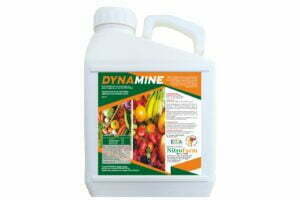 DYNAMINE 5L