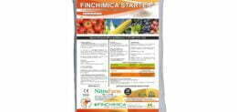 FINCHIMICA STARTER 20Kg