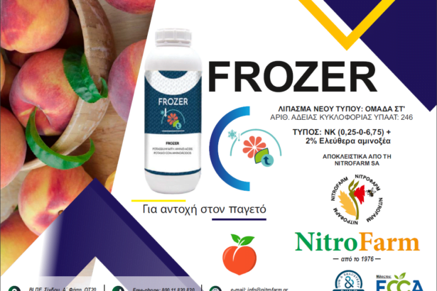 FROZER