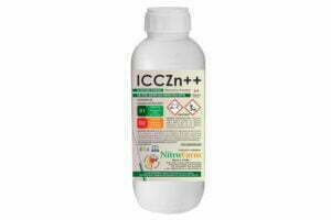 ICCZn 500cc