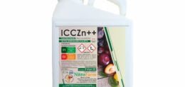 ICCZn 5LT