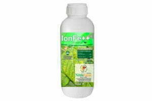 Ion Fe 1LT