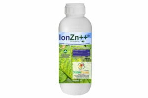 Ion Zn 1LT
