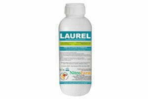 LAUREL 1LT