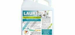 LAUREL 3LT