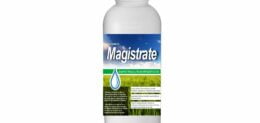 MAGISTRATE 1T