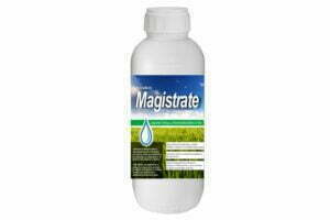 MAGISTRATE 500cc