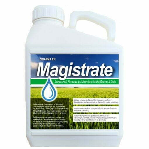 MAGISTRATE 5LT
