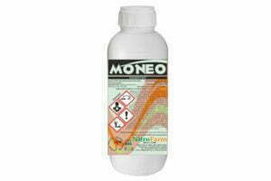 MONEO 500cc