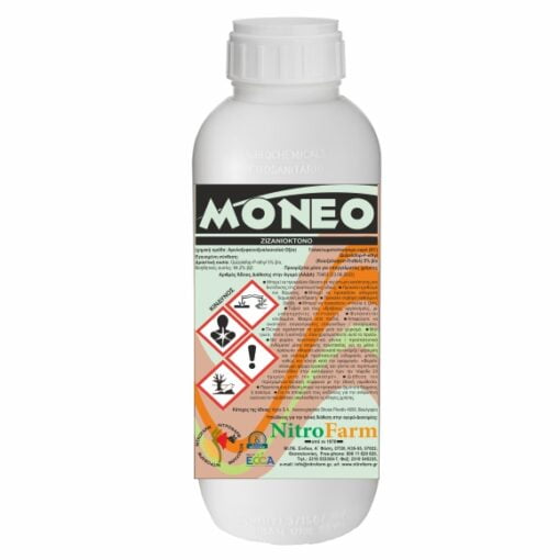MONEO 500cc