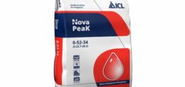 NOVA PEAK