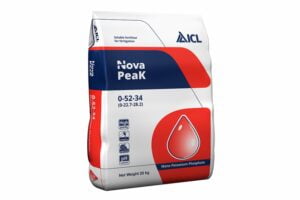 NOVA PEAK