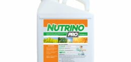 NUTRINO PRO 5LT