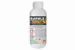 RAFALE 500cc