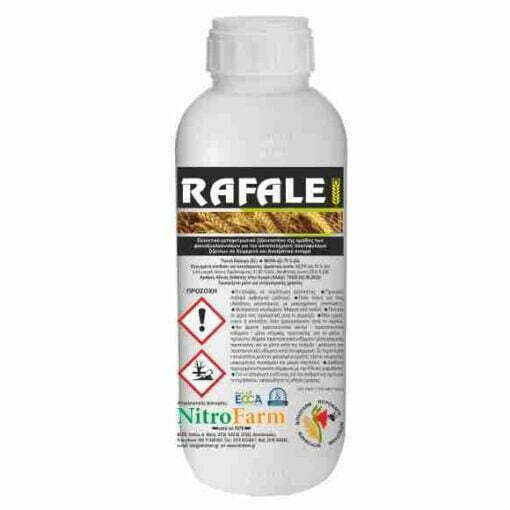 RAFALE 500cc