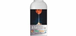 STATUS 1LT
