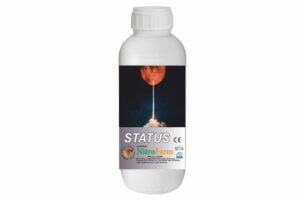 STATUS 1LT