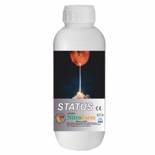STATUS 1LT