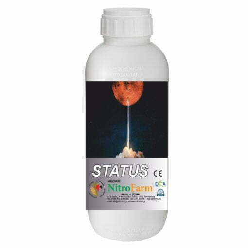 STATUS 250cc