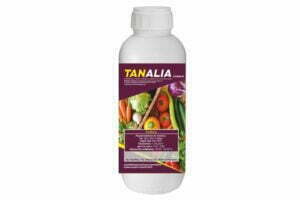 TANALIA 1LT