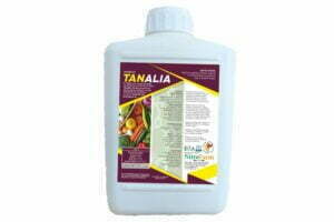 TANALIA 2LT
