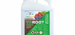 TOROOT 5LT
