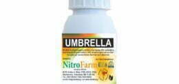 UMBRELLA 100cc